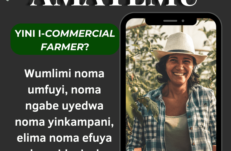 YINI I-COMMERCIAL FARMER?