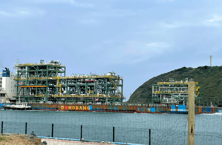 Ukuphela kwe-Agoa yithuba lokuqala kabusha eNingizimu Afrika, kuloba uBusi Mavuso