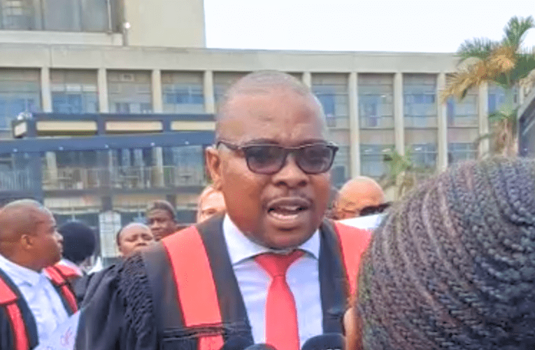 Izimantshi zibhikishele amalungelo azo