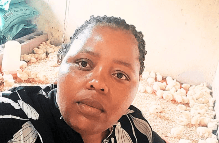 Umfuyi wezinkukhu wakhela ngamaqubu osizi lokudilizwa