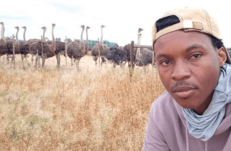 Umfuyi omnyama uyibambe ishisa emkhakheni wokufuya izintshe