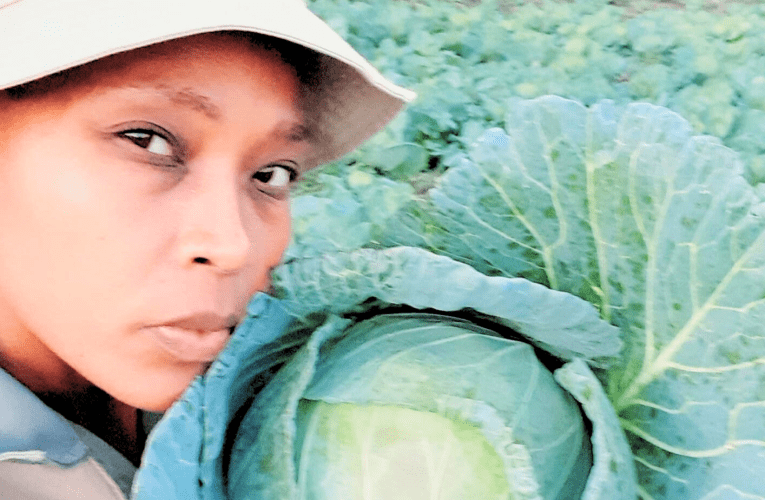 Ukulima wakuncela kunina oseziphilisa ngokulima