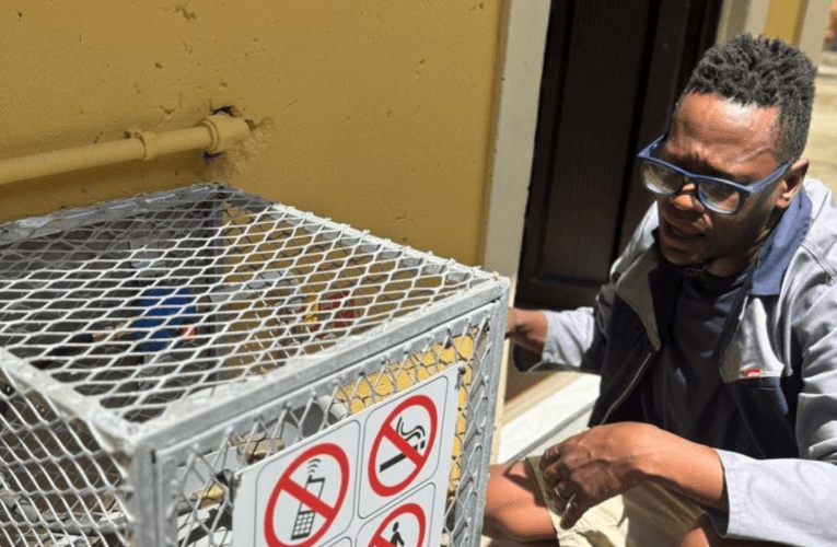 Ukuqeqesha osomabhizinisi abancane embonini yegesi kudala imisebenzi 