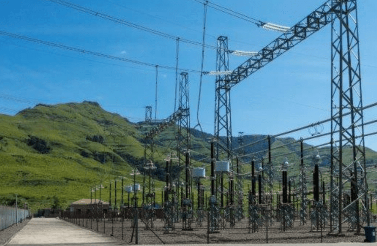 Lo nyaka ubeke isisekelo esihle sokukhulisa umnotho, kuloba uBusi Mavuso 