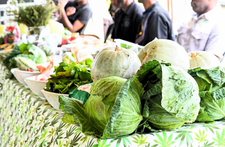 Umnotho waseNingizimu Afrika ukhule ngo-0,5% ngekota yesithathu 