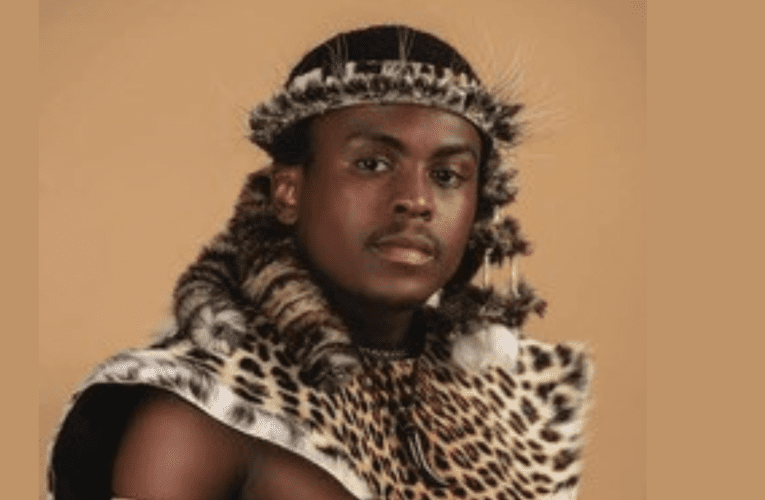 ‘Qinisa emsebenzini uma imali isangena’