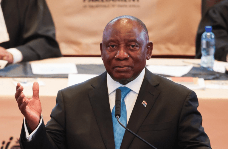 Umengameli uveze isithombe esiyiqiniso ngokwenzeka ezweni – iBusiness Leadership SA