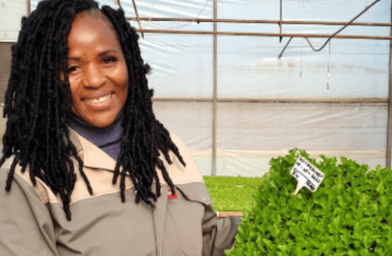 Uhlwanyela imbewu yokuthi kubenezinkulungwane zabalimi nabafuyi ngomuso