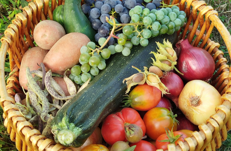 Ningasibukeli kude iSabelomali sezwe, siyithinta ngqo imali yenu – umeluleki