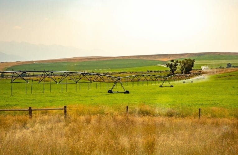 INingizimu Afrika kufanele iqinise kumathuba akhona kwezolimo ezweni naphesheya, kuloba uJabulani Sikhakhane