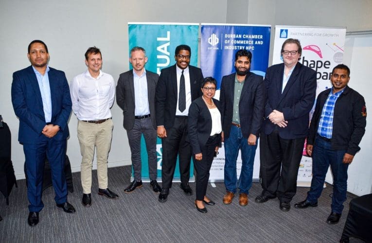 ITheku belinesithangami esibheka okwenzeka emnothweni