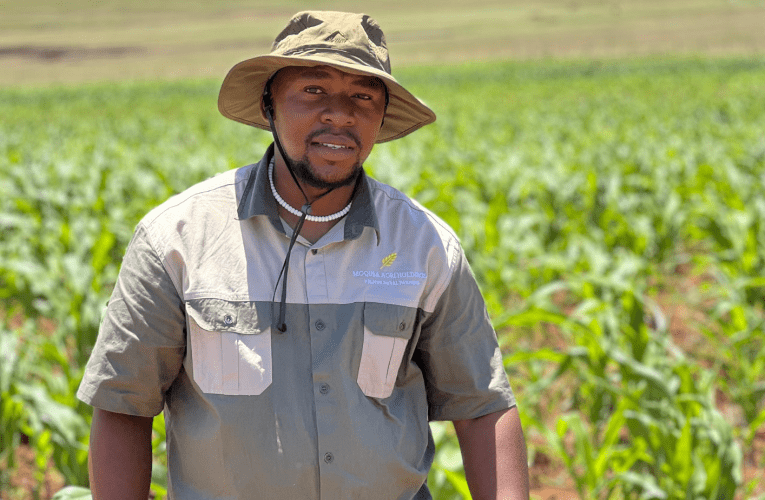 Owashiya impilo edolobheni usewumholi kwezolimo