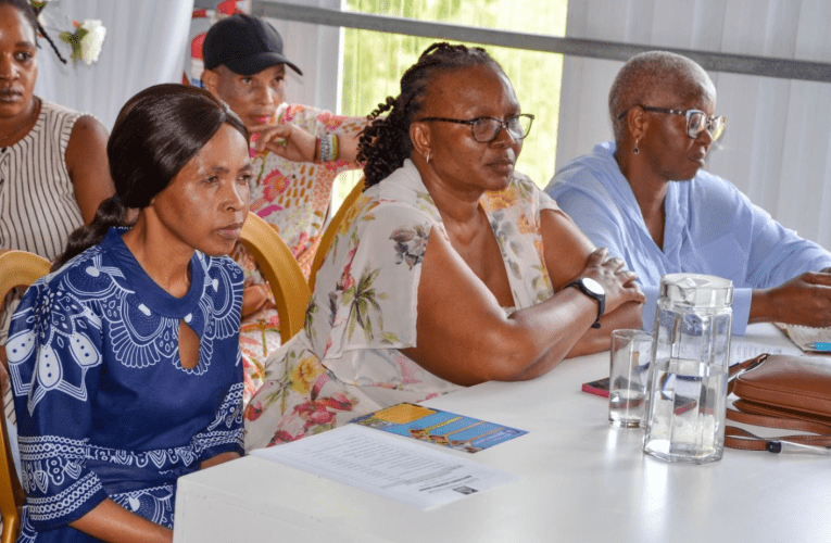 ITheku lilekelela osomabhizinisi abancane ukulandela umthetho