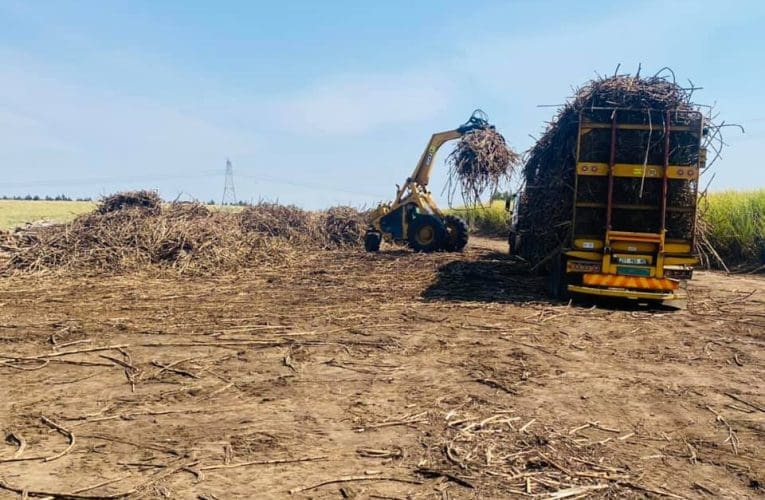 Inkantolo imise izinhlelo zokuvala iTongaat-Hulett