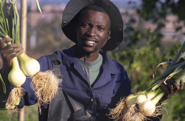 Uguqula izindawo ezingasebenzi, zibeyizingadi elokishini