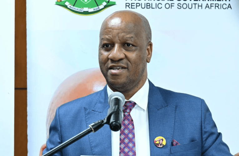 Uhulumeni waKwaZulu-Natali uhlela Ithala kabusha