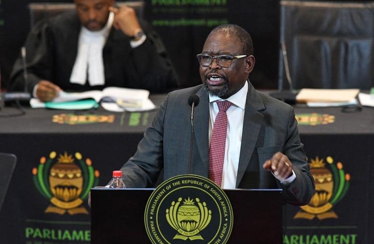 Akukho okungenziwa wuhulumeni ngamanani kapharafini – umGcinimafa