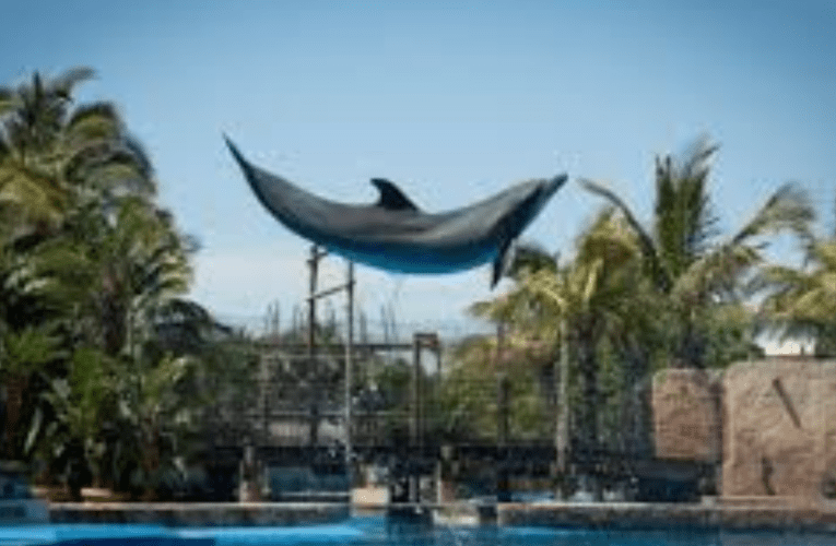 Asimile Siyaqhuba: i-uShaka Marine World iseyindawo yokuvakasha ethandwayo nanamuhla