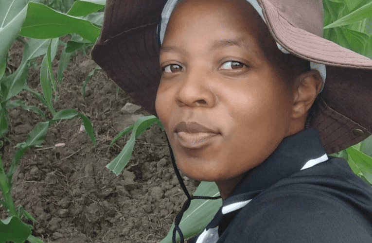 Owayesiza ugogo wakhe usewumfuyi wezinkukhu namuhla