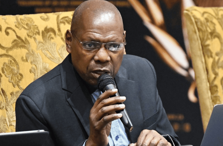 Luya ePhalamende olukaR13,5 billion womasipala abangenzi kahle